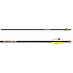 Стрелы Beman CARBON ICS BOWHUNTER 500 XP VANES S-NOCK/CB INSERT 12/PK